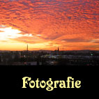 Zu den Fotos